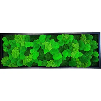Obraz Mechdekor Mechový obraz Mix mechů – 156x56cm černý dřevěný tenký rám