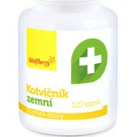 Wolfberry Kotvičník zemní kapsle 120 ks