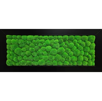 Obraz Mechdekor Mechový obraz z masivu 136x56cm černý široký dřevěný rám – Kopečkový mech Rám: Dřevěný, Barva Rámu: Šedá