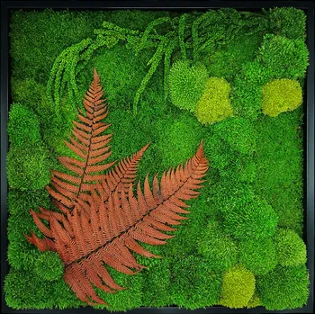 Obraz Mechdekor Mechový obraz mix různých mechů + stabilizované rostliny - 56x56cm dřevěný tenký černý rám