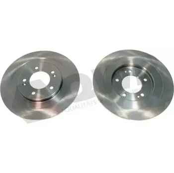 Brzdový kotouč QWP Brzdový kotouč - 300 mm QWP WBD870