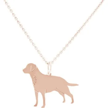 Šperk Stříbrný přívěsek ve tvaru psa s gravírem Labrador Retriever