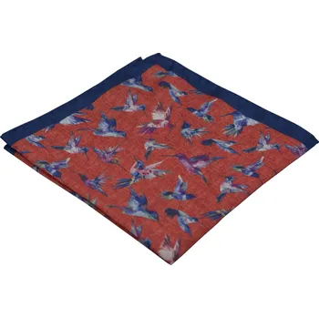 Látkový kapesník Červený pánský kapesníček s modrým lemem a motivem ptáků