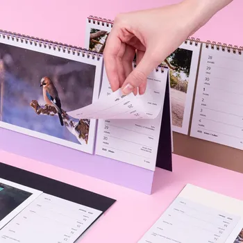 Fotokalendář Plánovací stolní fotokalendář 2026 (týdenní)