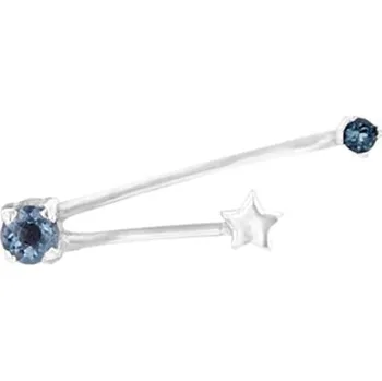 Náušnice Náušnice se znamením zvěrokruhu Aquarius