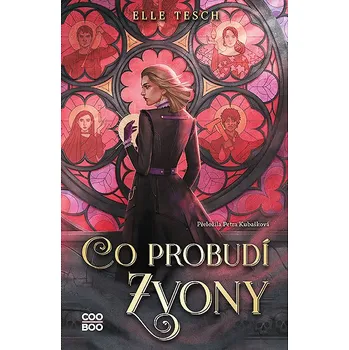 Kniha Co probudí zvony Ekniha