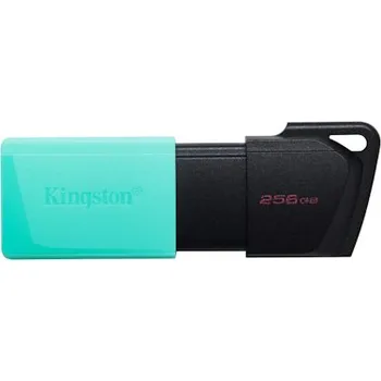 USB flash disk 256GB Kingston USB 3.2 (gen 1) DT Exodia M