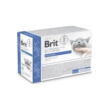 Krmivo pro kočku Filety Brit VD Cat v recyklační omáčce 12x85 g