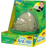 Insect Lore Anthill