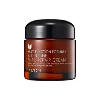 Pleťový krém Pleťový krém proti stárnutí Mizon All In One 0 SPF pro denní použití 75 ml