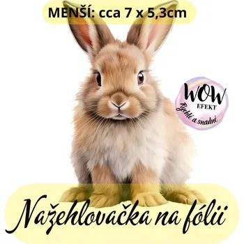 Nažehlovačky na fólii Nažehlovačka na fólii, KRÁLÍK hnědý, 1 kus Zvolte VELIKOST motivu ZDE:: Menší