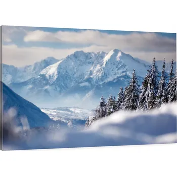 Obraz Obraz na plátně zimní sen do obýváku ložnice 90x60 cm