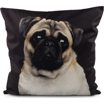 Povlak na dekorativní polštářek Sametový povlak na polštář pes, kočka 45x45 cm, barva 5 černá pejsek