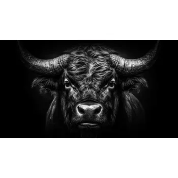 Obraz Obraz na plátně Portrait of a Bull 180x100cm