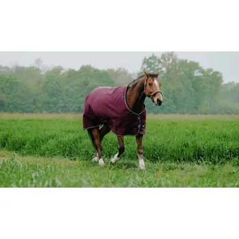 Deka pro koně EQUITHÈME Deka výběhová Tyrex Equithème, 150 g, burgundy Délka zad: 155 cm