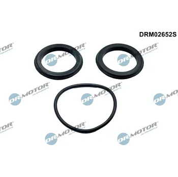 Systém vstřikování Těsnění, hrdlo škrtící klapky Dr.Motor Automotive DRM02652S