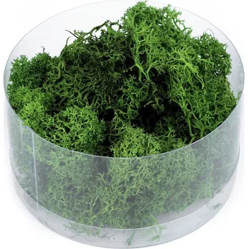 umělá květina Stabilizovaný / preparovaný mech 20 g v krabičce, barva 3 zelená