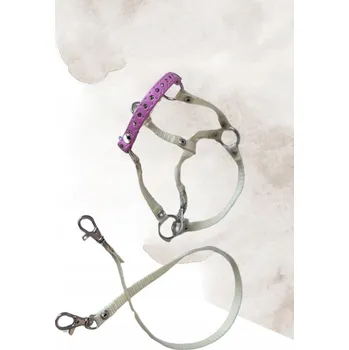 Příslušenství pro čtečku elektronické knihy UZDA S OTĚŽEMI PRO HOBBY HORSE A3