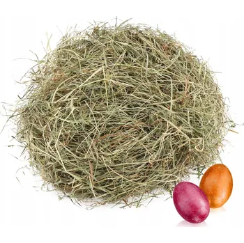 Obraz VELIKONOČNÍ DEKORACE Z PŘÍRODNÍ TRÁVA KUDI 100g Velikonoce DEKORACE