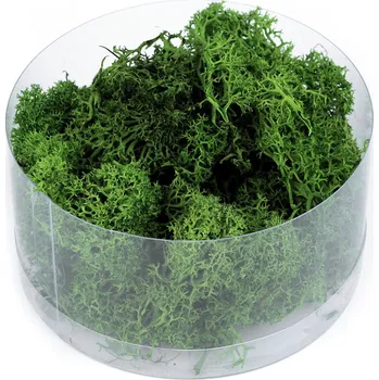 umělá květina Stabilizovaný / preparovaný mech 20 g v krabičce