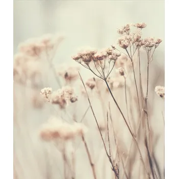 Počesaná teplákovina Takoy PANEL 360g tichá krása