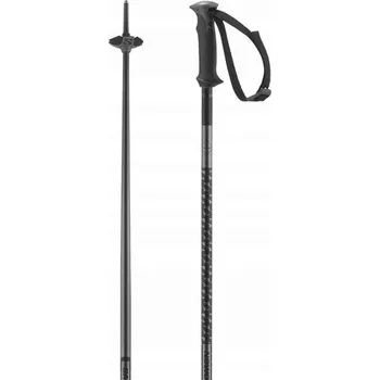 Sjezdová hůlka Sjezdové hole POLAR Salomon