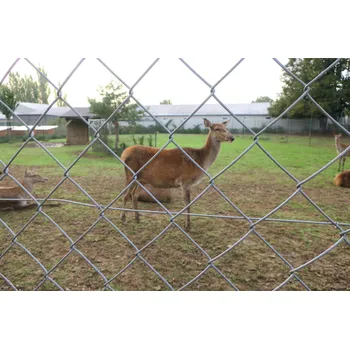 Pletivo Oborové zámecké pletivo 200 cm pr. 4,0 Zn