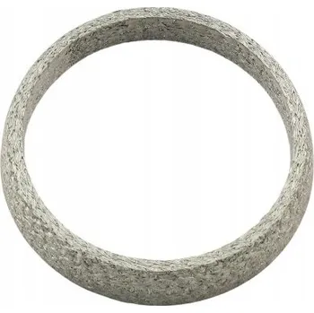 Těsnění výfuku Těsnění, výfukové trubka Fast FT84823