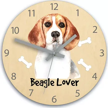 Hodiny Dětské nástěnné hodiny Ami Bígl 30 cm vícebarevné