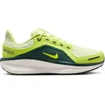 Nike Winflo 11 GORE-TEX Womens Waterproof Road Running Shoes 36