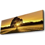 ASIR 254LED3266 LED obraz na plátně 30…