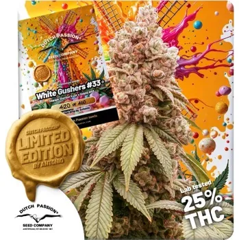 Pěstitelství Dutch Passion White Gushers #33 Počet ks Feminizované: 5