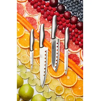 Kuchyňský nůž Sada nožů Dorre Calgary 5-pack 3.9744 vícebarevná MLC