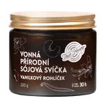 Pure Harmony Přírodní vonná sójová svíčka Vanilkový rohlíček 220 g