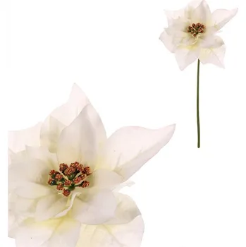 umělá květina Autronic Vánoční růže - umělý květ na stonku, krémová, sada 12 ks