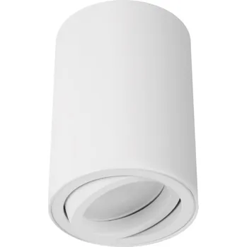 Stropní bodové svítidlo kulatý Struhm bílé