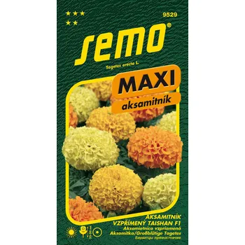 Zahrada Semo Aksamitník MAXI - Taishan