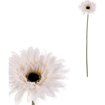 umělá květina Autronic Gerbera - umělý květ na stonku, barva bílá, sada 12 ks