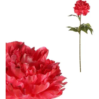 umělá květina Autronic Pivoňka - umělá řezaná květina, tmavě růžová, sada 6 ks