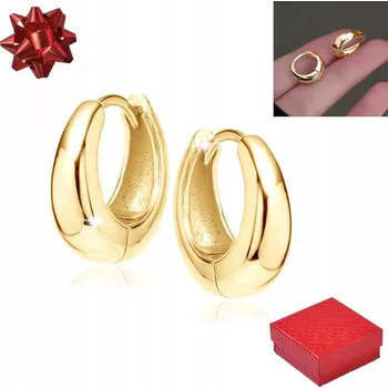 Náušnice Zlaté dámské pozlacené náušnice Bižuterie pro ženy Ocel dárek