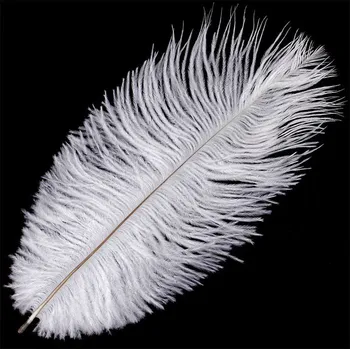 Autronic Pštrosí peří - barva bílá, cena za 1 ks, v balení (24 ks), sada 24 ks