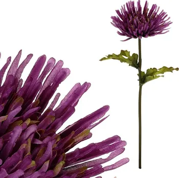 umělá květina Autronic Chryzantéma - umělá řezaná květina, tmavě fialová, sada 12 ks