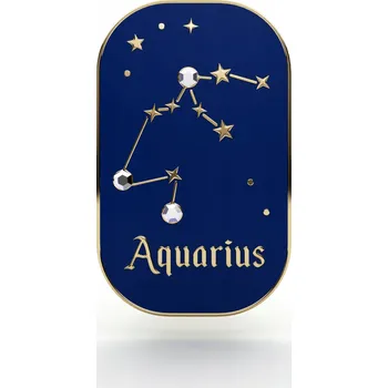 Obraz PINETS odznak znamení zvěrokruhu Vodnář Aquarius
