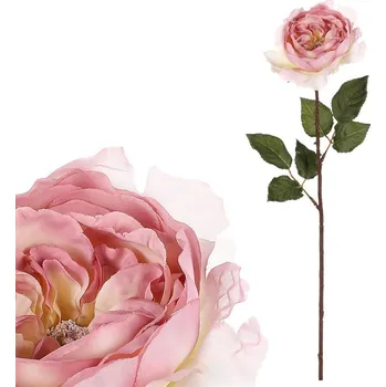 umělá květina Autronic Růže anglická - umělá řezaná, krémovo-růžová, sada 6 ks