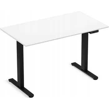 Psací stůl Obdélníkový psací stůl LVNSYSTEM 120 x 67 x 90 cm bílý, černý