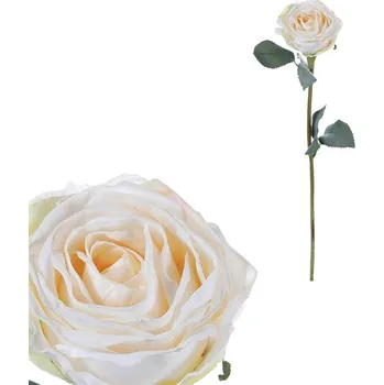 umělá květina Autronic Růže - umělá řezaná květina, barva krémová, sada 12 ks