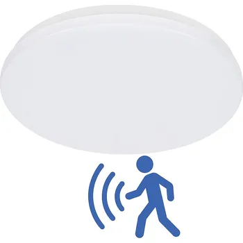 LED STROPNÍ STROPNÍ SVÍTIDLO Stropní svítidlo 24W 4000K S POHYBOVÝM ČIDLEM DIP, nástěnný