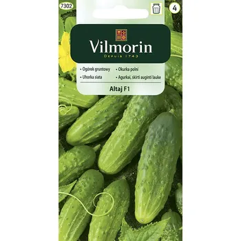Semeno Okurka polní Altaj F1 10/2025