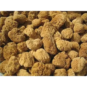 Naturgreen přírodní mycí mořská houba Mycí houba Silk jemná exclusive (muži,ženy )vel.16-17 cm ,17,5-19