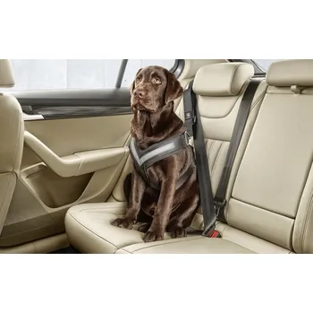 Postroj pro psa Bezpečnostní pás pro psy velikost L škoda auto